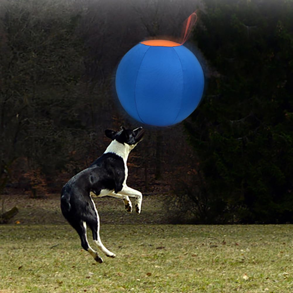 Balle de berger Garvee 45 cm pour chiens, grand jouet avec pompe à air, robuste, entraînement en extérieur, bleue, pour écuries
