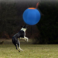 Balle de berger Garvee 45 cm pour chiens, grand jouet avec pompe à air, robuste, entraînement en extérieur, bleue, pour écuries