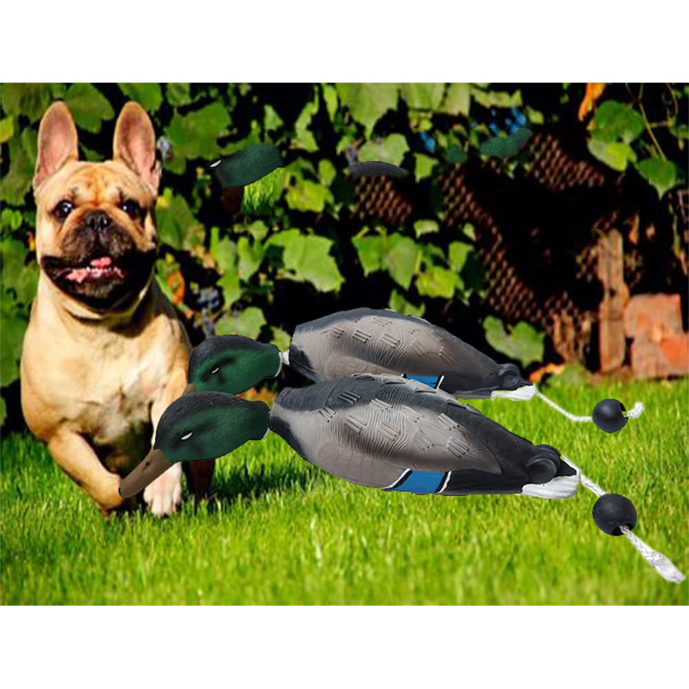 Garvee Jouet d'entraînement pour chiens en forme de canard mort, design réaliste, 46 x 10 x 10 cm