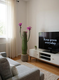 Cactus artificiel Garvee de 109 cm (43 pouces), réaliste et facile d'entretien, en polyéthylène, pot blanc, pour la maison et le bureau.