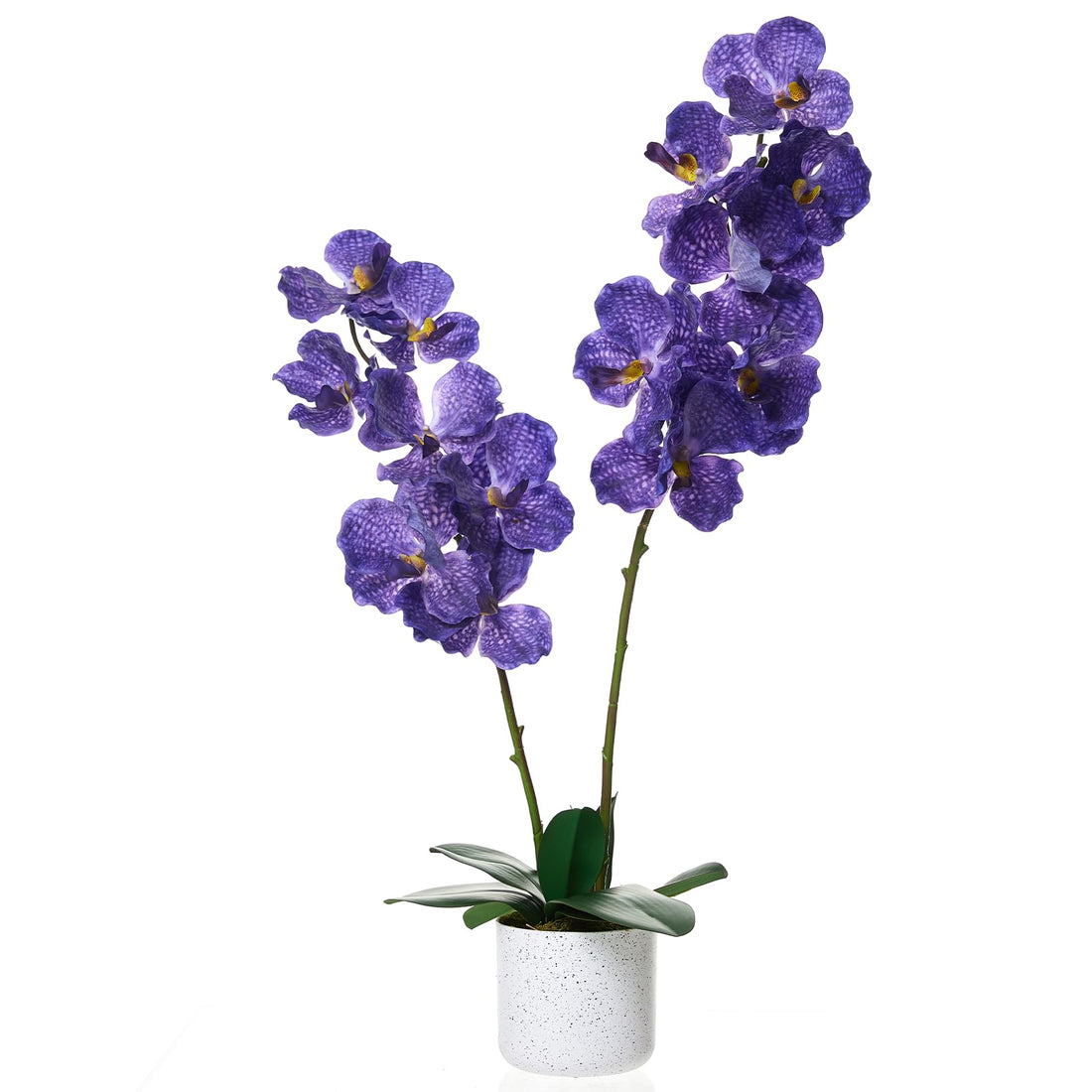 Ensemble de 2 plantes artificielles Magnolia Garvee de 79 cm (31 po) avec pot de fleurs blanc moucheté, pour salon et bureau. Entretien facile. Matière PEVA.