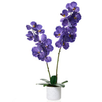 Ensemble de 2 plantes artificielles Magnolia Garvee de 79 cm (31 po) avec pot de fleurs blanc moucheté, pour salon et bureau. Entretien facile. Matière PEVA.