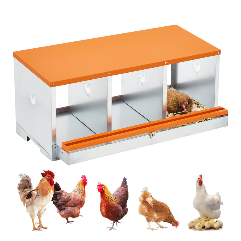 Pondoir Garvee en acier galvanisé pour poules
