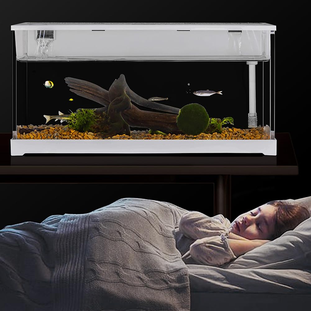 Mini aquarium Garvee en acrylique transparent pour poissons rouges, avec éclairage LED, filtre intégré, pompe silencieuse et cascade d'oxygénation. Format compact.