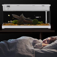 Mini aquarium Garvee en acrylique transparent pour poissons rouges, avec éclairage LED, filtre intégré, pompe silencieuse et cascade d'oxygénation. Format compact.