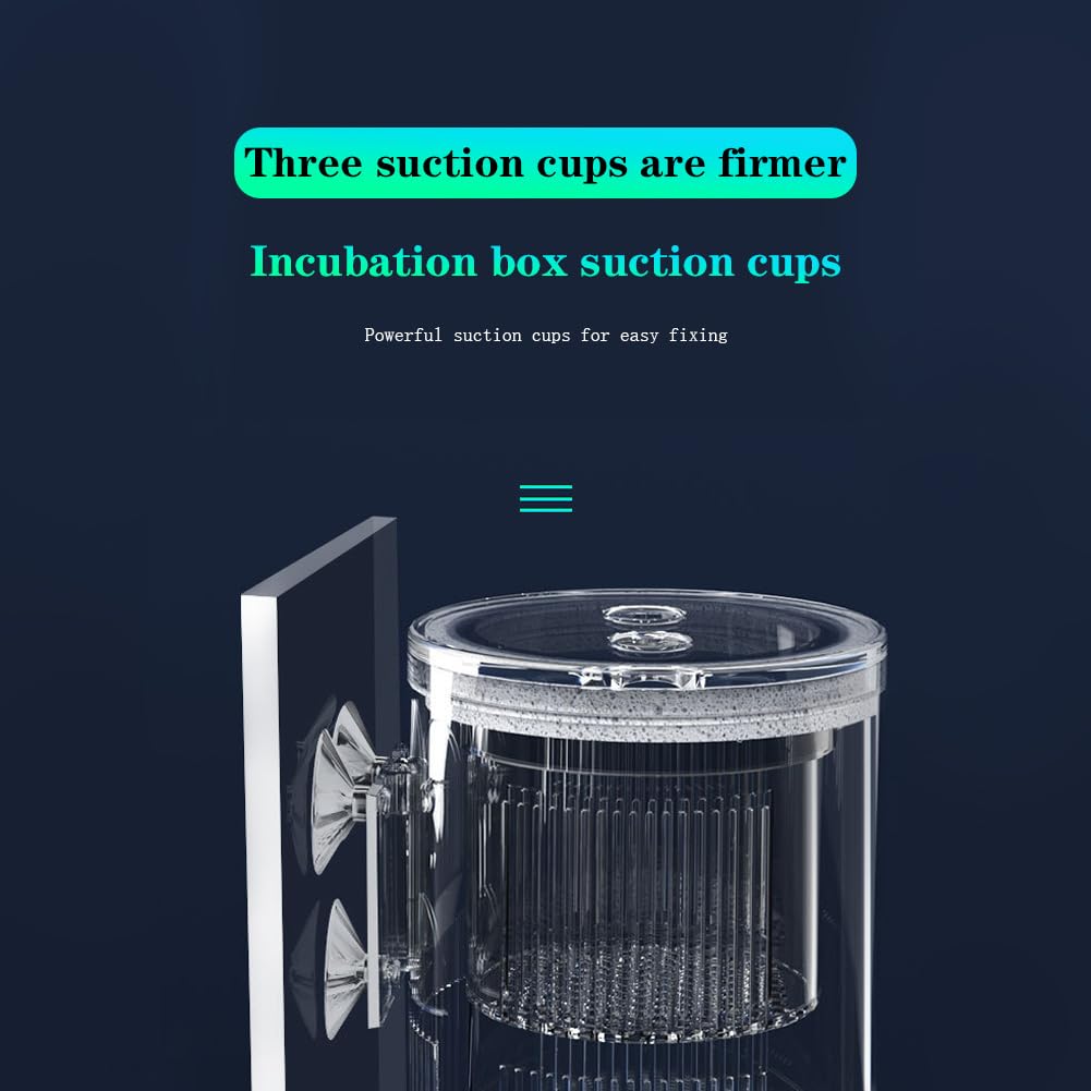 Boîte d'élevage Garvee pour poissons d'aquarium, boîte d'incubation isolée en acrylique avec ventouses pour alevins, crevettes, poissons-clowns et guppys