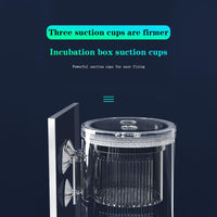 Boîte d'élevage Garvee pour poissons d'aquarium, boîte d'incubation isolée en acrylique avec ventouses pour alevins, crevettes, poissons-clowns et guppys