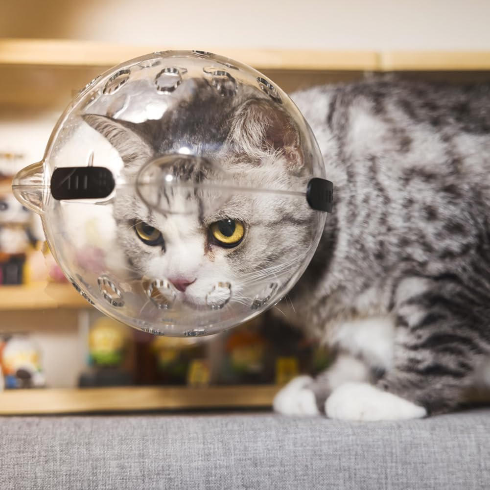 Garvee Casque transparent pour chat avec ventilation, anti-léchage et anti-morsure, matériau léger, petite taille, pour la convalescence et les soins, oreilles de chat mignonnes