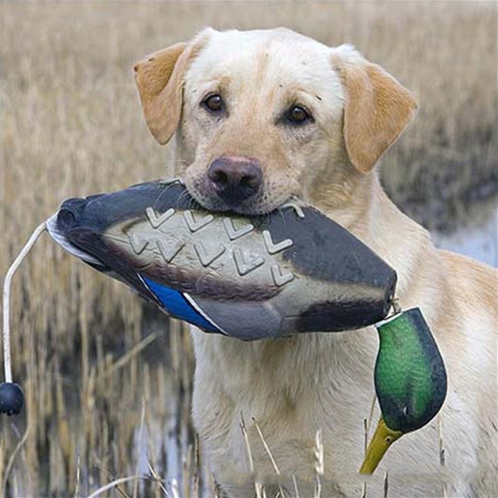 Garvee Jouet d'entraînement pour chiens en forme de canard mort, design réaliste, 46 x 10 x 10 cm