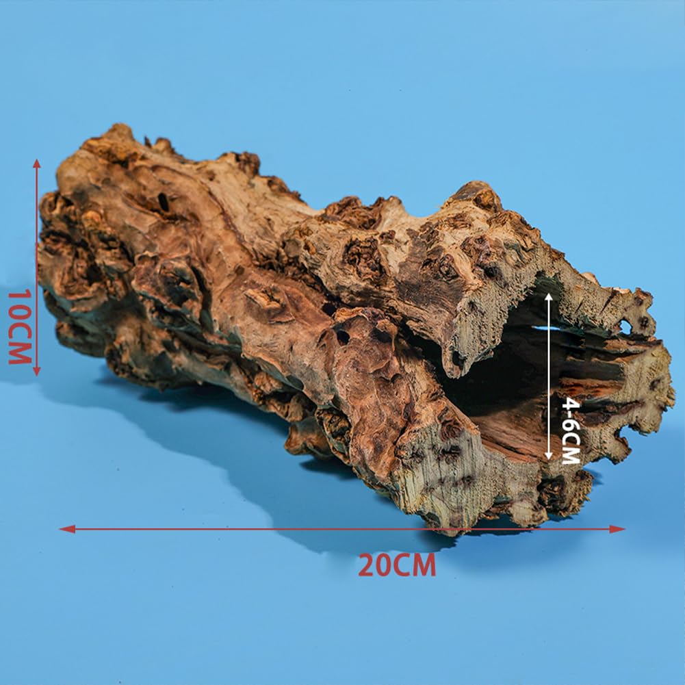 Grotte de ponte naturelle en tronc d'arbre, idéale pour les lézards, les tortues et les crevettes.