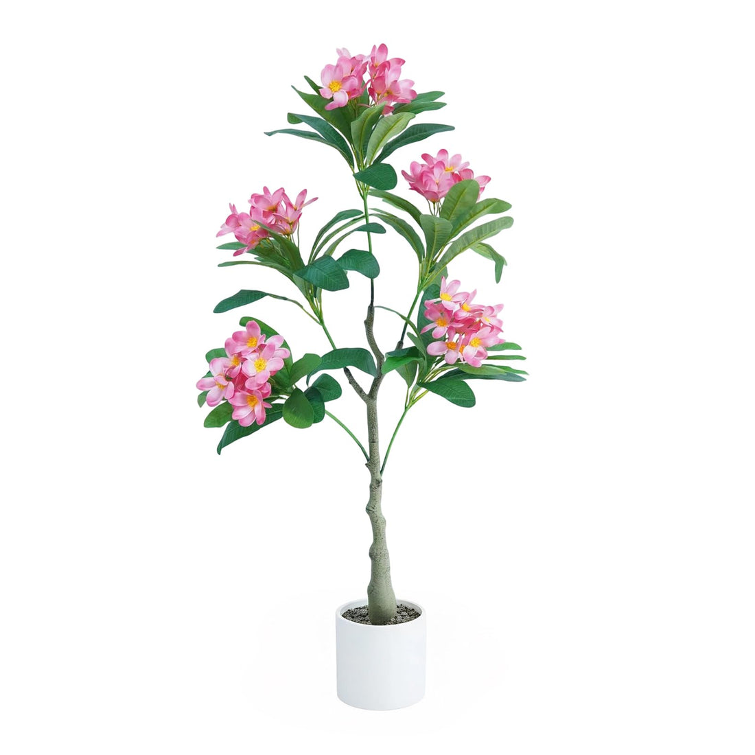 PHK_3676TQ58