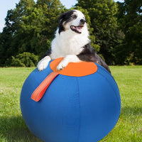Balle de berger Garvee 45 cm pour chiens, grand jouet avec pompe à air, robuste, entraînement en extérieur, bleue, pour écuries