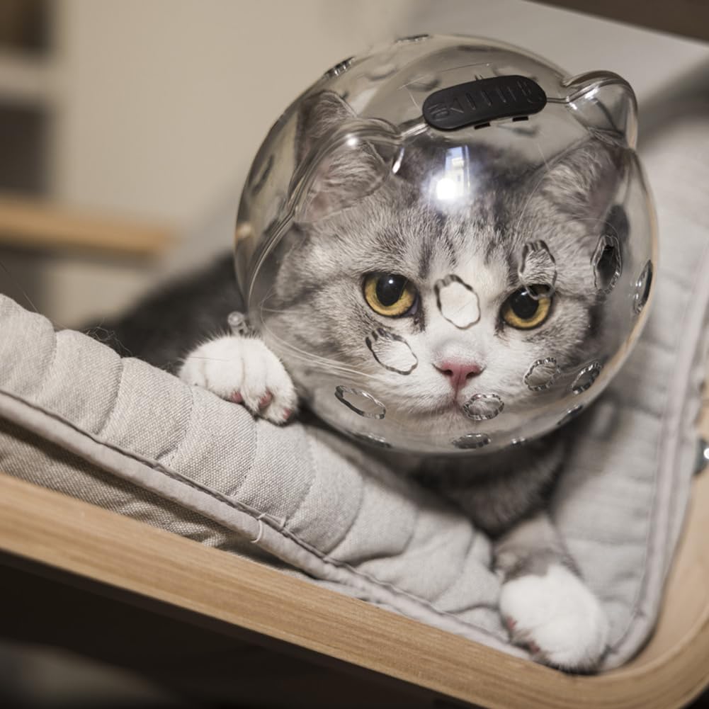 Garvee Casque transparent pour chat avec ventilation, anti-léchage et anti-morsure, matériau léger, petite taille, pour la convalescence et les soins, oreilles de chat mignonnes