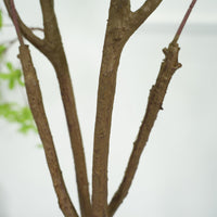Arbre artificiel Enkianthus Garvee de 150 cm avec feuilles réalistes, en PVC durable, pour la décoration intérieure du salon ou du bureau (vert).