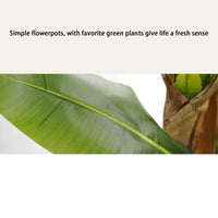 Bananier artificiel Garvee à grandes feuilles, écorce naturelle, pot robuste pour salon et bureau, 1,9 à 2,1 mètres, vert