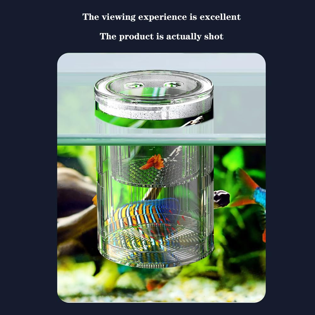 Boîte d'élevage Garvee pour poissons d'aquarium, boîte d'incubation isolée en acrylique avec ventouses pour alevins, crevettes, poissons-clowns et guppys