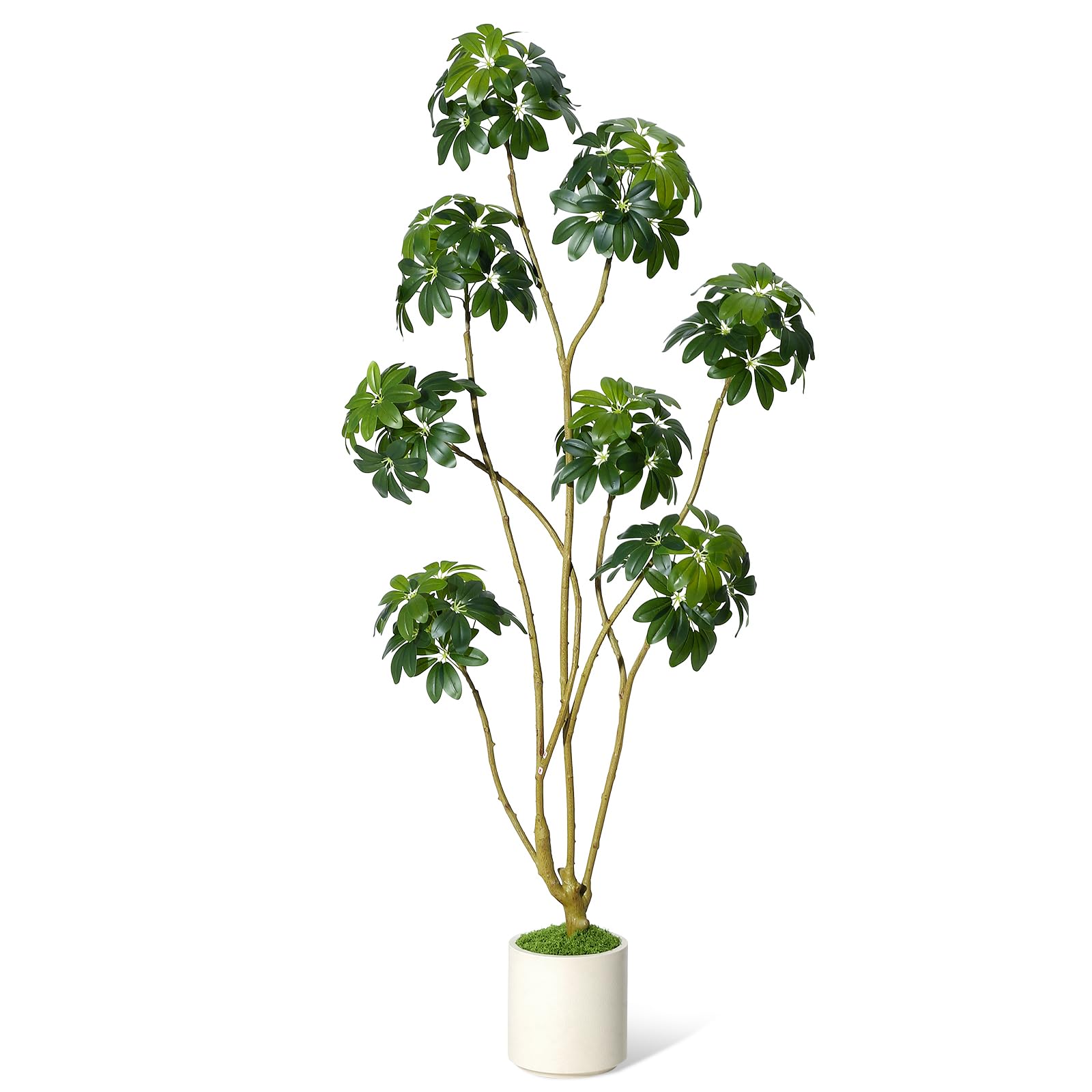 Arbre parasol artificiel Garvee de 1,83 m (6 pi) de haut, plusieurs tiges, pot en PE blanc, pour la décoration de la maison et du bureau, 178 x 70 cm (70 x 27,5 po).