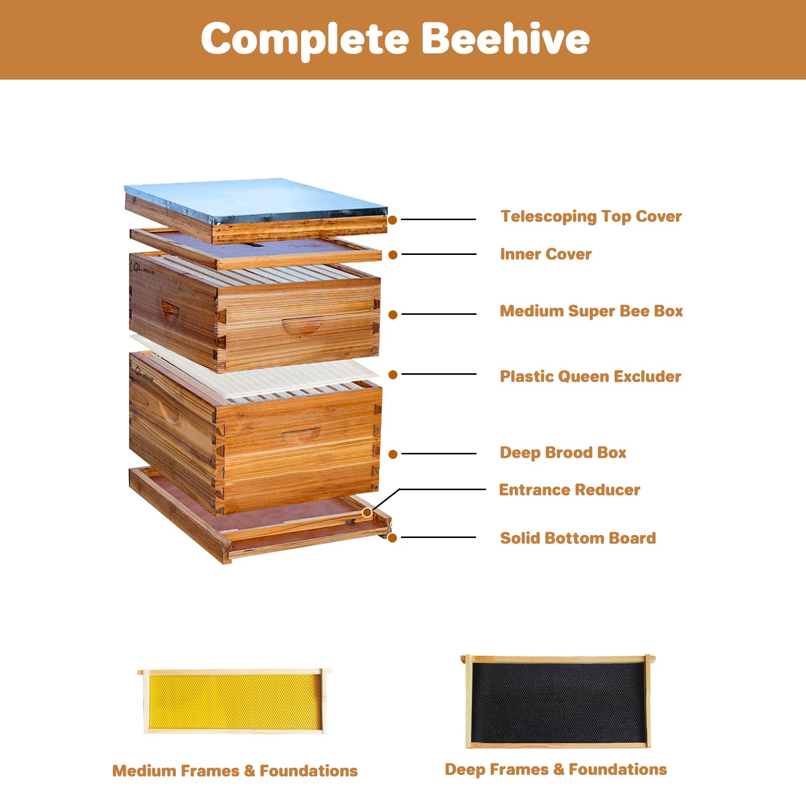 Kit de démarrage pour ruche Langstroth Garvee à 10 cadres en bois de cèdre, revêtement 100 % cire d'abeille, résistant aux intempéries, respectueux des abeilles, idéal pour les débutants