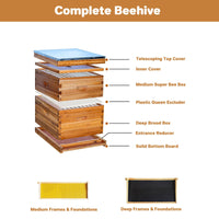 Kit de démarrage pour ruche Langstroth Garvee à 10 cadres en bois de cèdre, revêtement 100 % cire d'abeille, résistant aux intempéries, respectueux des abeilles, idéal pour les débutants