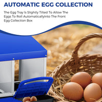 Garvee Nichoir à Poules 4 Compartiments Double Étage en Métal Galvanisé avec Poignée en Plastique, Plateau Amovible, Collecte Facile, Montage Rapide, Bleu