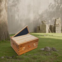 Ruche Garvee Langstroth à 10 cadres, corps de ruche profond, en bois de cèdre, avec fenêtres en acrylique transparent et revêtement 100 % cire d'abeille, idéale pour l'apiculture extérieure.