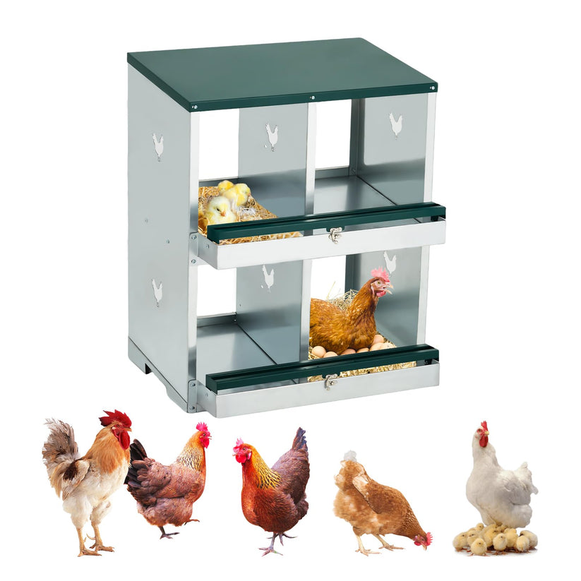 Pondoir Garvee en acier galvanisé pour poules