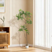 Arbre artificiel Schefflera Garvee de 1,98 m (6,5 pi) avec feuilles et tronc réalistes, idéal pour le salon et le bureau. Facile d'entretien, durable, pré-planté et vert.