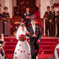 Garvee 5000 pétales de rose artificiels rouges, doux et soyeux, réutilisables, pour mariage et Saint-Valentin