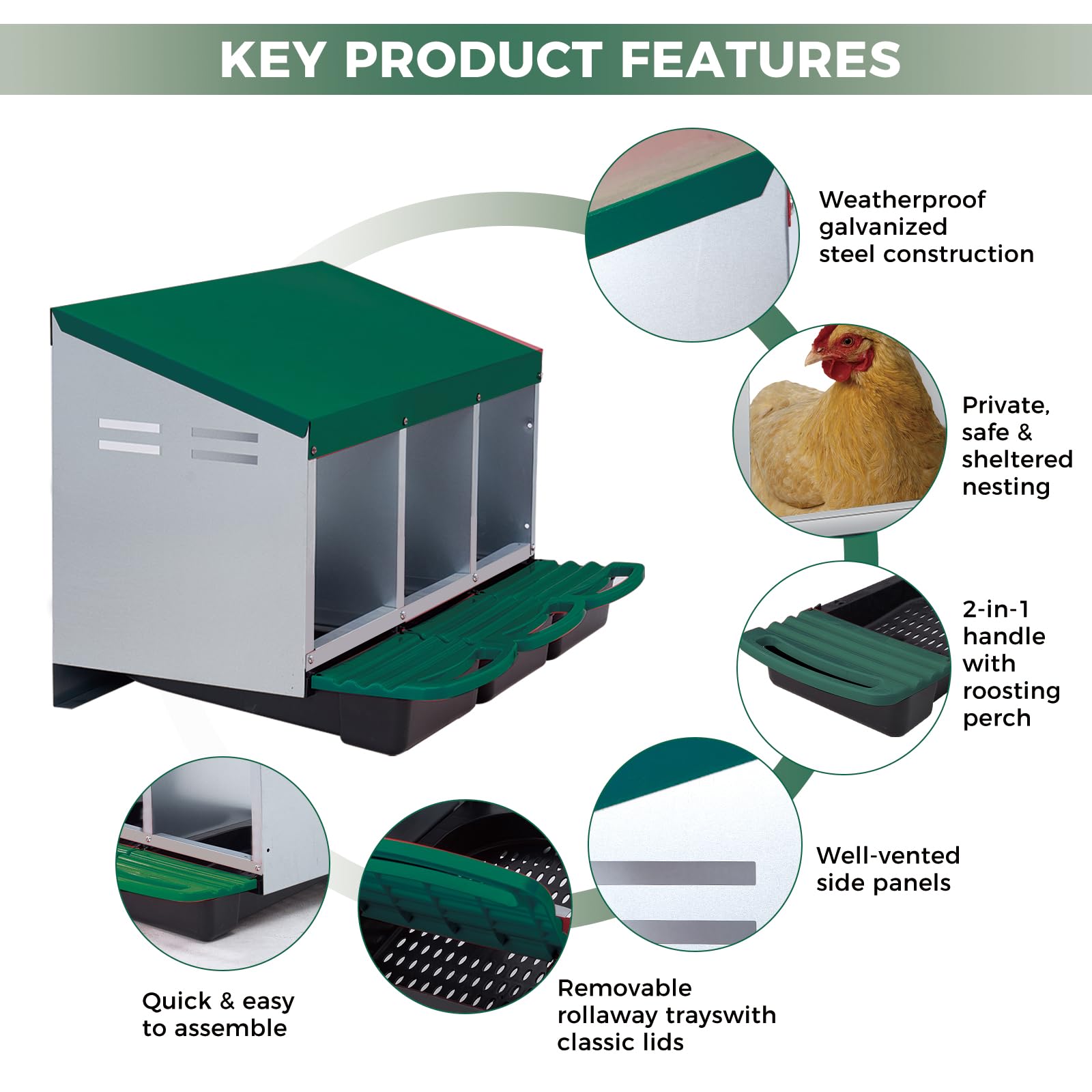 Garvee Nichoir pour Poules 3 Compartiments, Métal Galvanisé au Zinc avec Poignée en Plastique, Résistant pour Poulailler et Ferme, Vert