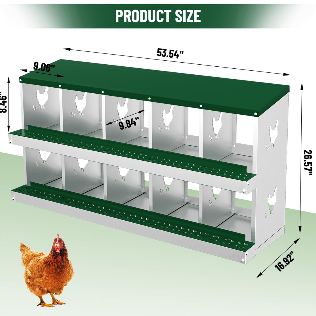 Garvee pondoir pour poules à 10 compartiments, acier galvanisé de 0,7 mm, collecteur d’œufs, conception inclinée, installation facile