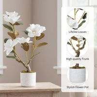 Ensemble de 2 magnolias artificiels Garvee de 61 cm (24 pouces) avec pot blanc, idéal pour la maison et le bureau. Facile d'entretien, stable et réaliste.