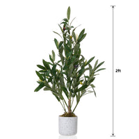 Olivier artificiel Garvee de 60 cm avec feuilles réalistes et 8 fruits, pot en ciment robuste pour salon et bureau, vert polyester