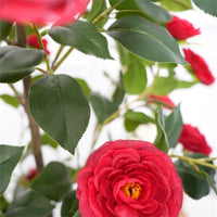 Camélia artificiel rouge Garvee de 1,5 m avec fleurs et feuilles réalistes, idéal pour le salon et l'extérieur. Entretien facile et robuste.