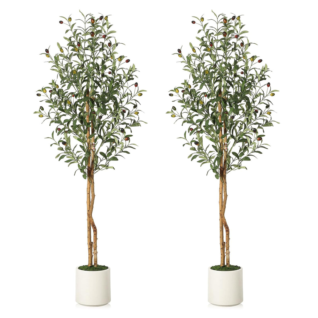 Olivier artificiel Garvee de 1,5 m avec 2 troncs en bois et pot en ciment blanc, idéal pour la décoration du salon et du bureau. Branches ajustables, 864 feuilles en soie.
