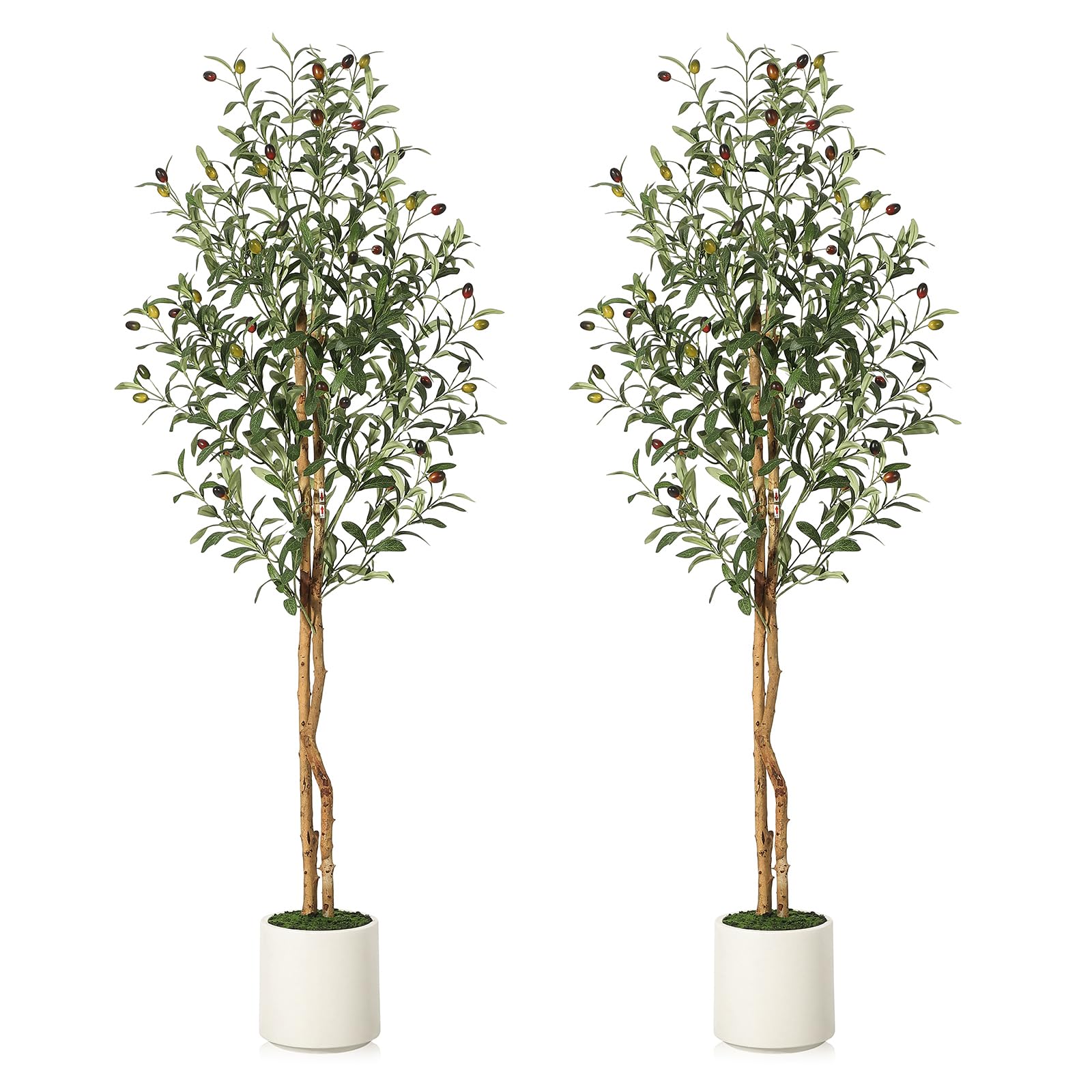 Olivier artificiel Garvee de 1,5 m avec 2 troncs en bois et pot en ciment blanc, idéal pour la décoration du salon et du bureau. Branches ajustables, 864 feuilles en soie.