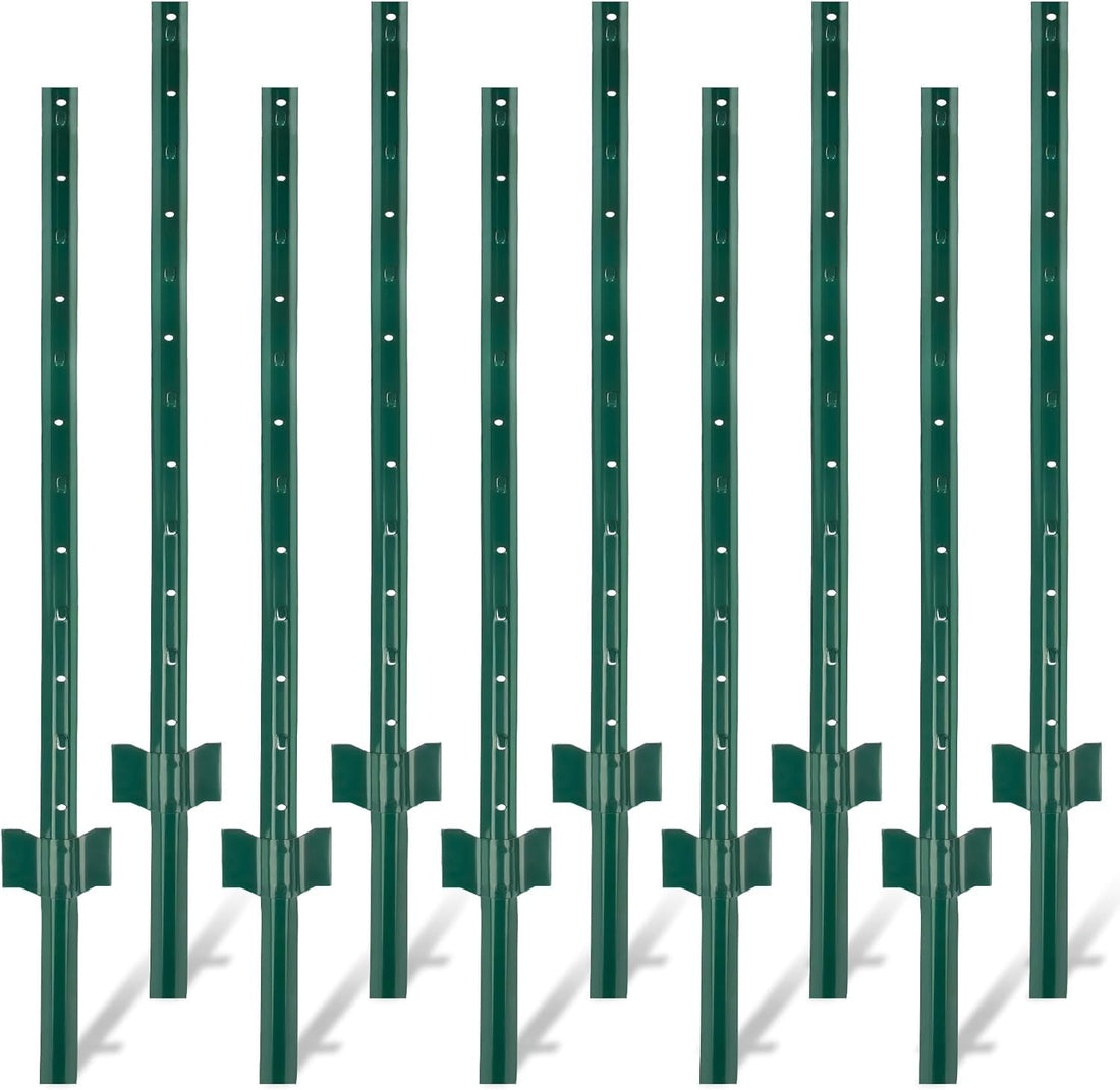 PPG_33LDTYC5