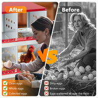 Nichoir Garvee à 6 compartiments – Acier galvanisé, ventilé, robuste, grand pour poules et lapins
