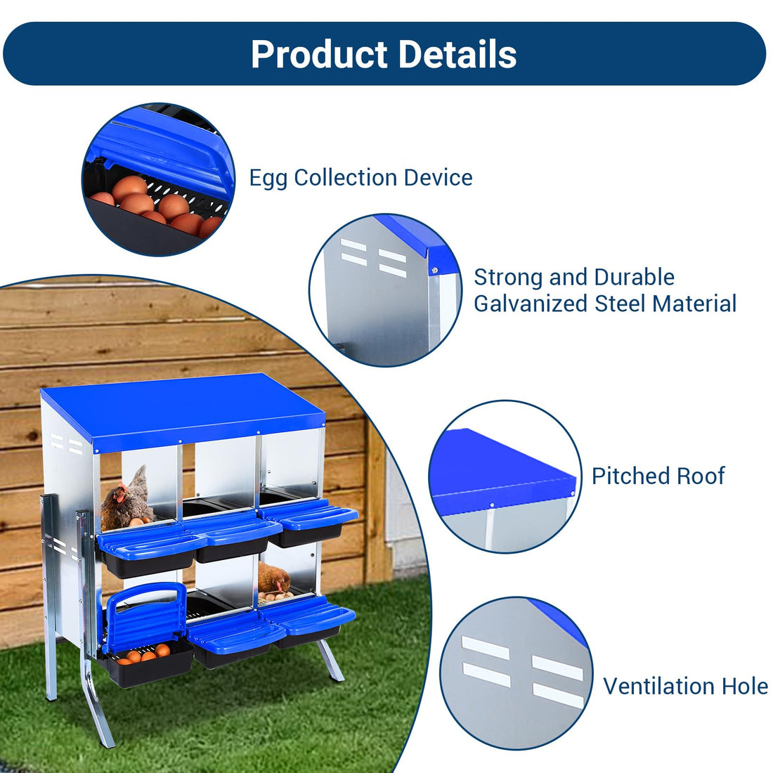 PPG_33CXPLB9