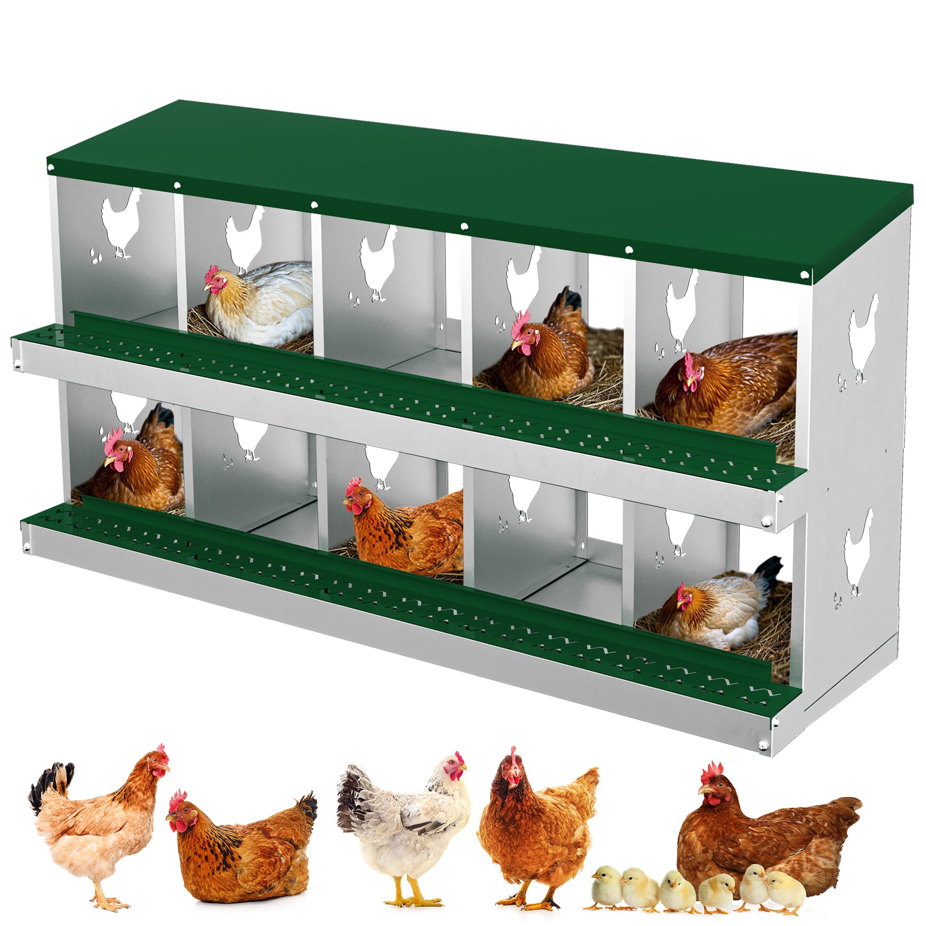 Garvee pondoir pour poules à 10 compartiments, acier galvanisé de 0,7 mm, collecteur d’œufs, conception inclinée, installation facile, idéal pour poulaillers, vert