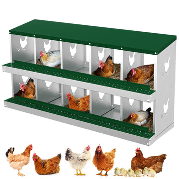 Garvee pondoir pour poules à 10 compartiments, acier galvanisé de 0,7 mm, collecteur d’œufs, conception inclinée, installation facile, idéal pour poulaillers, vert