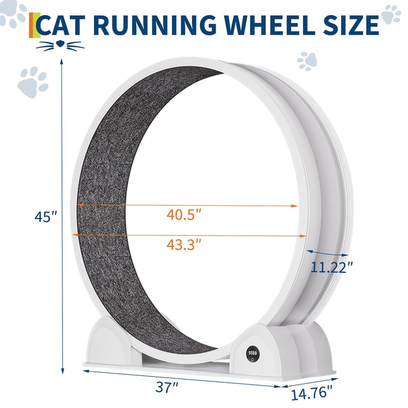 Roue pour chat avec tapis de course amovible et montage facile