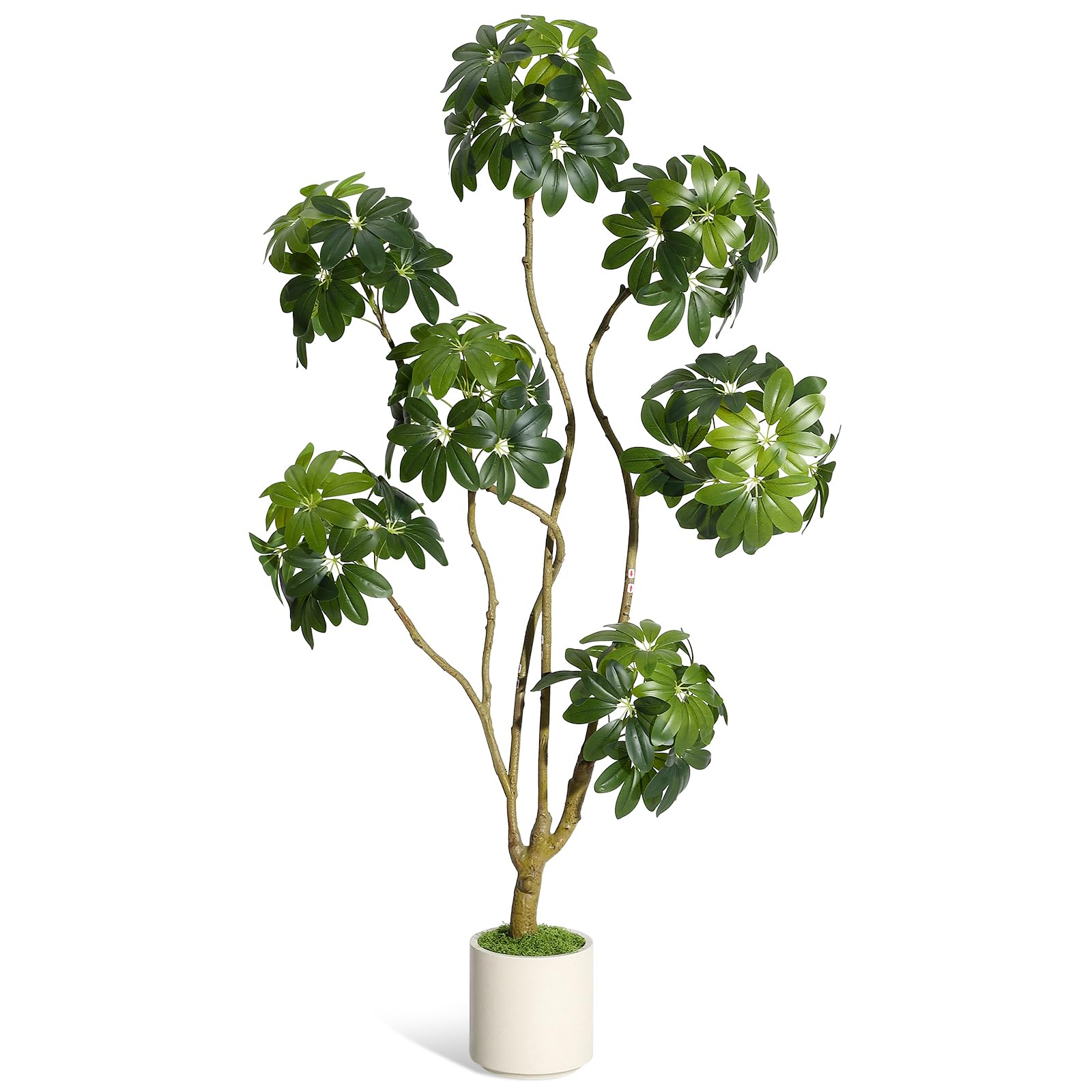 Arbre artificiel Schefflera parasol Garvee de 1,5 m avec 5 troncs, pot de fleurs blanc en PE pour la maison et le bureau