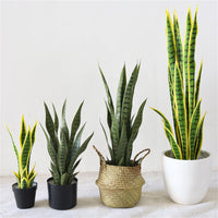 Plante serpent artificielle Garvee 70 cm (27,55 po) réaliste Sansevieria en pot de plastique, décoration intérieure pour bureau ou maison, verte