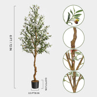 Garvee Olivier artificiel 183 cm en soie synthétique, tronc en bois naturel et PE, fruits réalistes, montage facile, déco maison réaliste