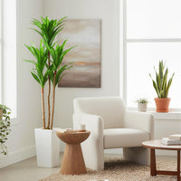 Arbre dracaena artificiel Garvee de 1,46 m (4,8 pi) avec pot en ciment robuste pour usage intérieur et extérieur, blanc, grand pot