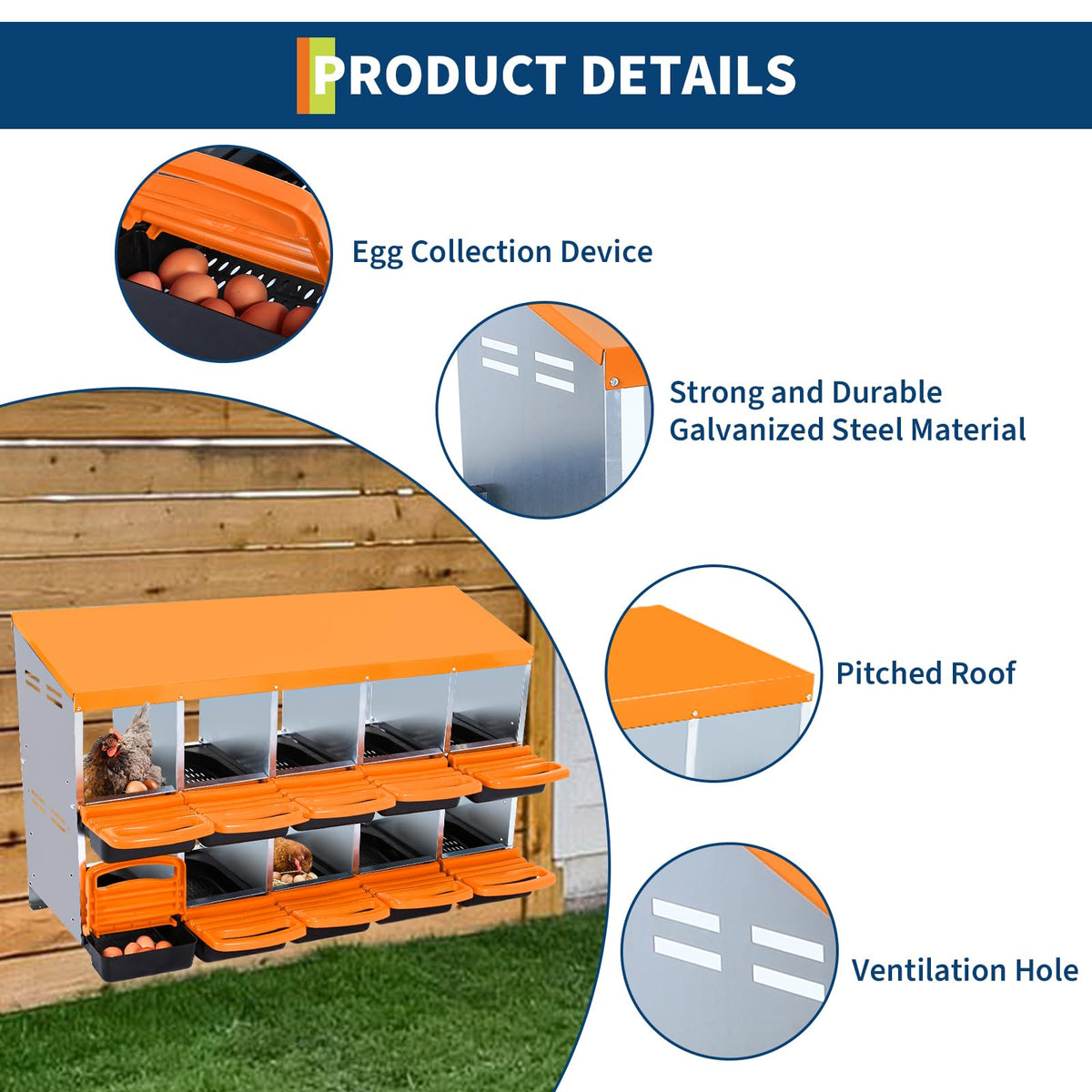Garvee Pondoir à poules orange 10 compartiments sans pieds, acier galvanisé, ventilation et système de collecte des œufs, pour poulailler