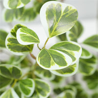 Ficus artificiel Garvee de 1,8 m avec feuilles réalistes, idéal pour le bureau et le salon. Durable, facile d'entretien et vert.