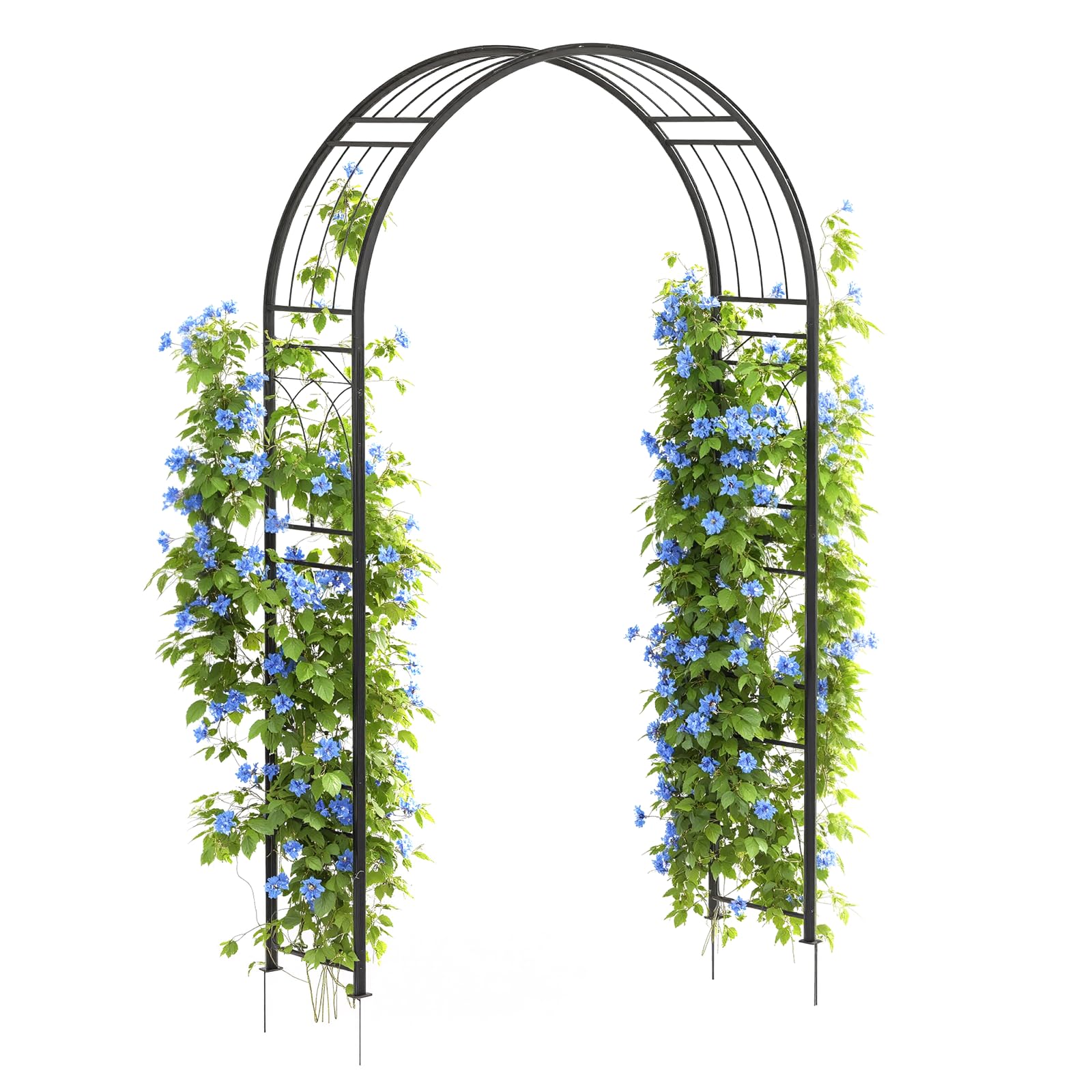 Arche de jardin Garvee 2,4 m (8 pi) en acier, revêtement en poudre, résistante aux intempéries, avec piquets de fixation pour jardin et mariage, 150 cm de large, 240 cm de haut, noire