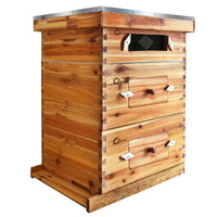 Kit de démarrage de ruche Garvee Langstroth à 10 cadres avec 2 hausses et 1 hausse intermédiaire, en bois de cèdre, fenêtre en acrylique, ventilation, idéal pour les apiculteurs débutants.