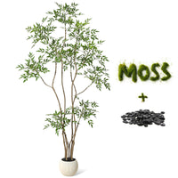 PHK_359MCC4C
